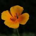 dsc06919