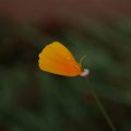 dsc06959