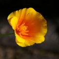 dsc06978