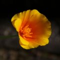 dsc06979