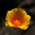 dsc06990