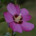 dsc07001