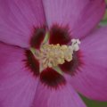 dsc07002