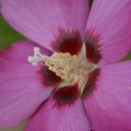 dsc07003