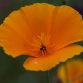 dsc07005