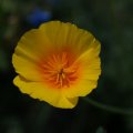 dsc07009