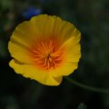 dsc07010