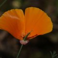dsc07015