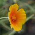 dsc07019