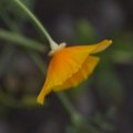 dsc07020