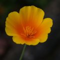 dsc07023