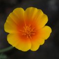 dsc07024