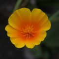 dsc07027