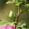 dsc07071