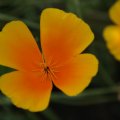 dsc07080