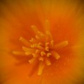 dsc07084
