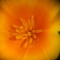 dsc07087