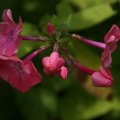 dsc07128