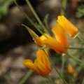 dsc07151