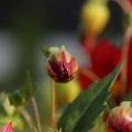 dsc07167