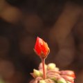 dsc07187