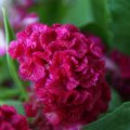 dsc07369
