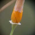 dsc07472
