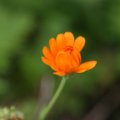 dsc07474
