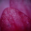 dsc07729