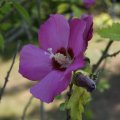 dsc07747