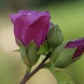 dsc07749