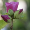 dsc07750
