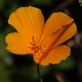 dsc07767