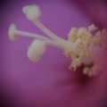 dsc07777