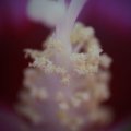 dsc07778