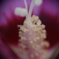 dsc07782