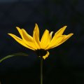 dsc07790