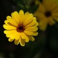 dsc07796