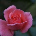 dsc07802
