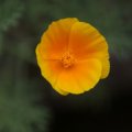 dsc07818