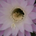 dsc07836