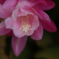 dsc07844