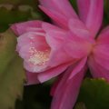dsc07845