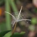 dsc07865