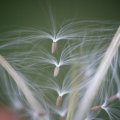 dsc07867