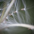 dsc07870
