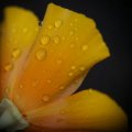 dsc07892