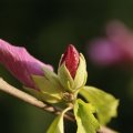 dsc07932