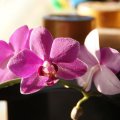 dsc08645