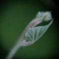 dsc03636